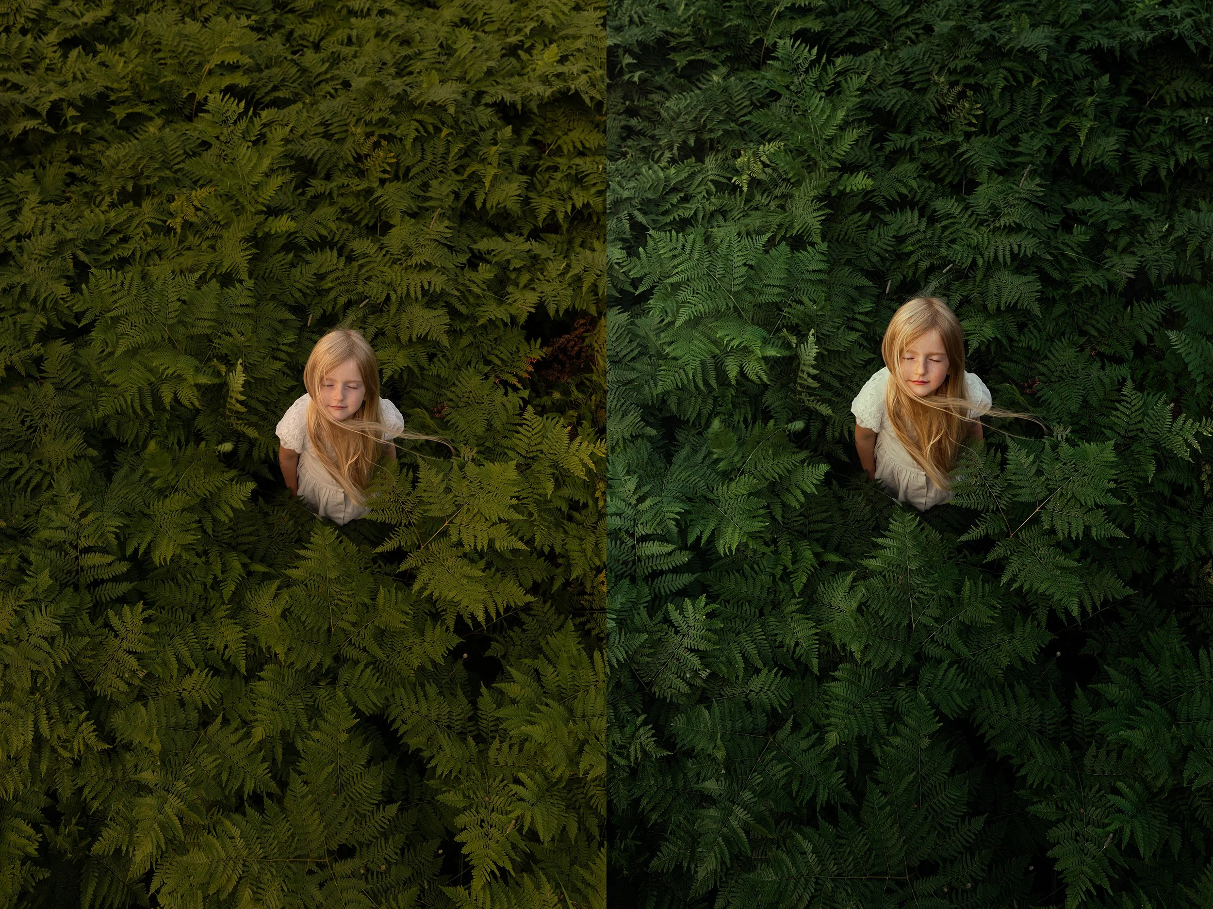 Summer's Hiding Place - Meg Loeks.jpg