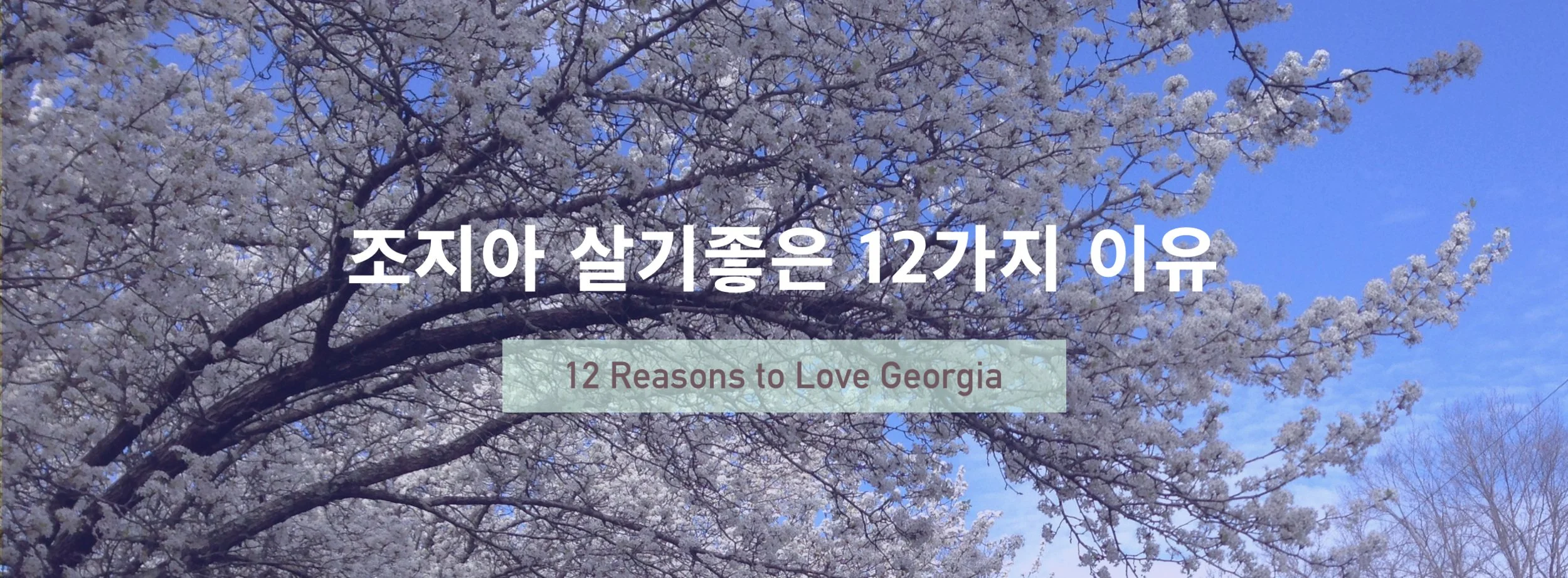 12_Reasons_GA.jpg