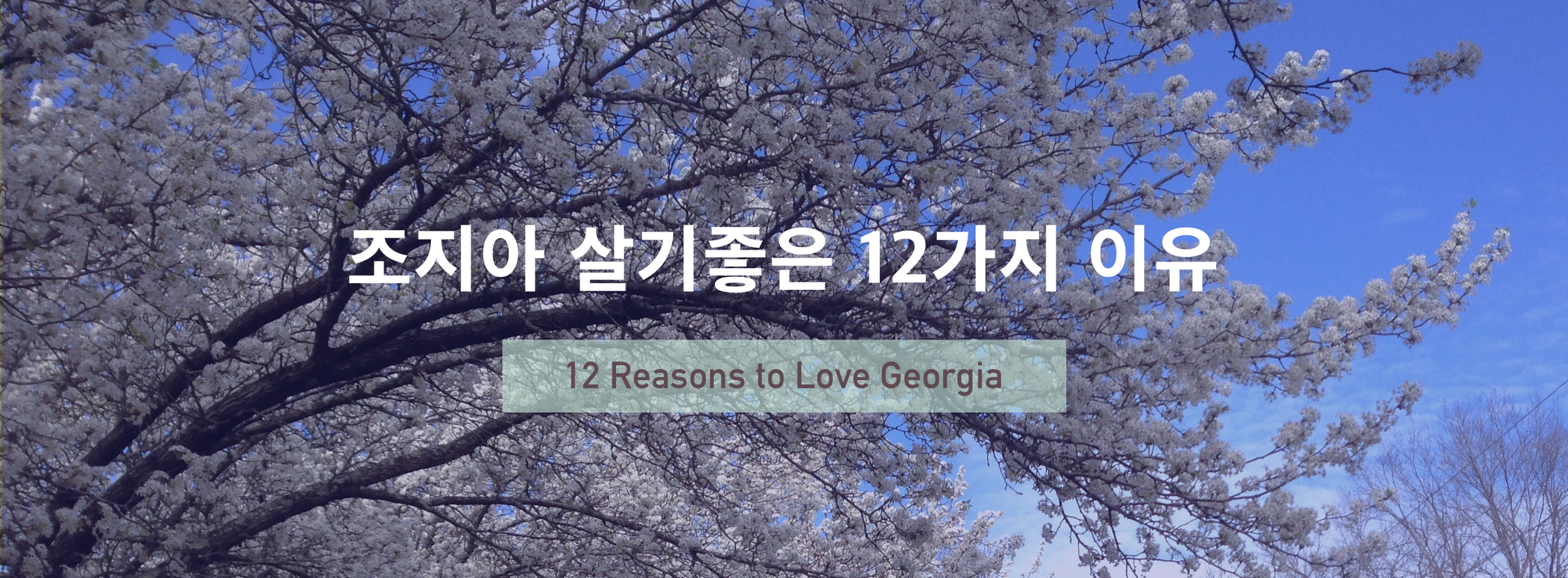 12_Reasons_GA.png