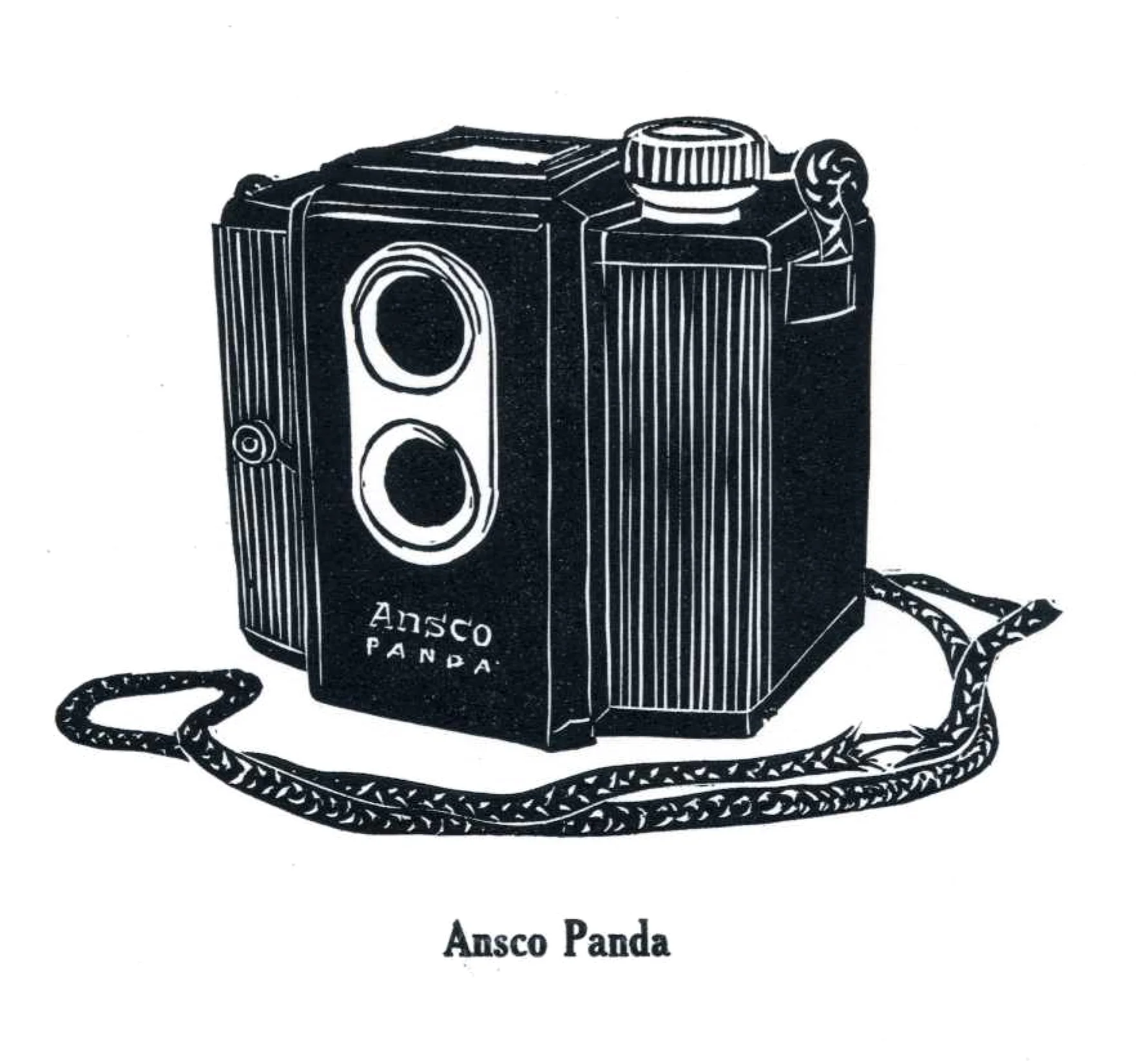 anscopanda002.jpg