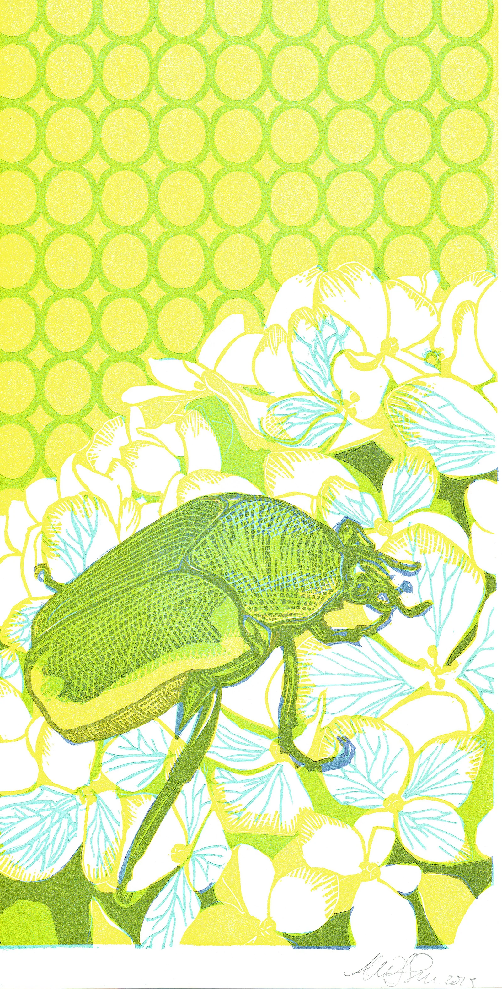 JuneBug.jpg