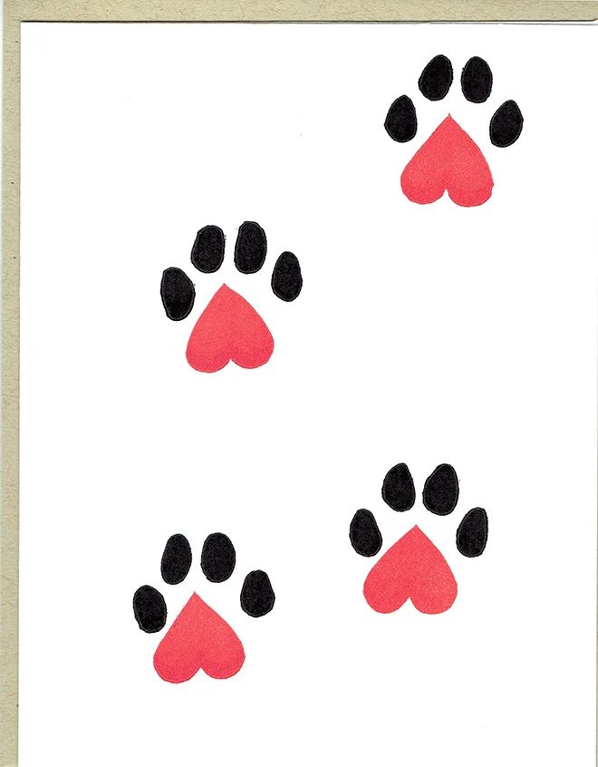 Kitty Love or Sympathy