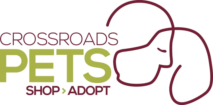 Capitol District Street Fair: Nashville, TN