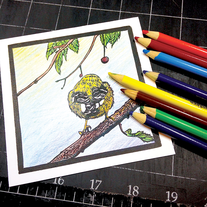 ColoredBirdSmall.jpg