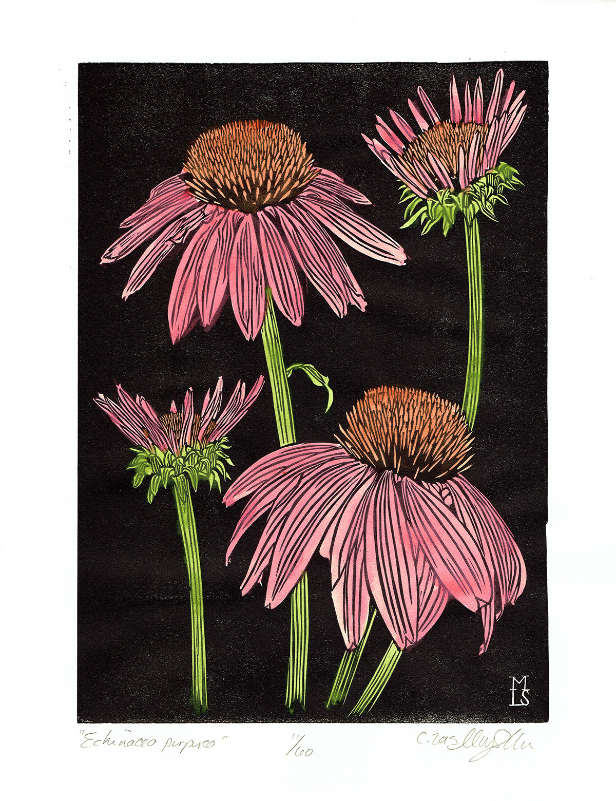 Coneflower_web.jpg