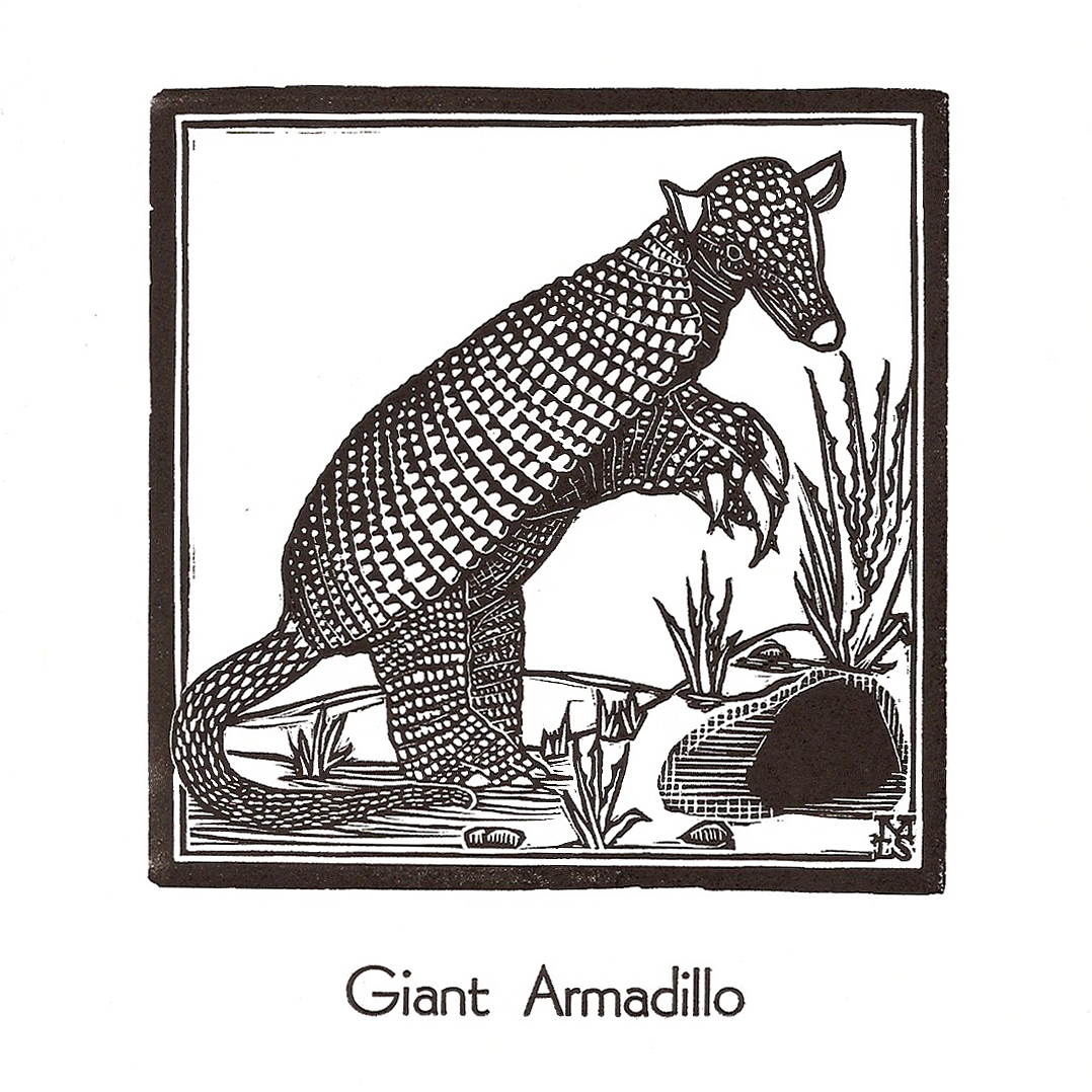 Giant Armadillo2.jpg