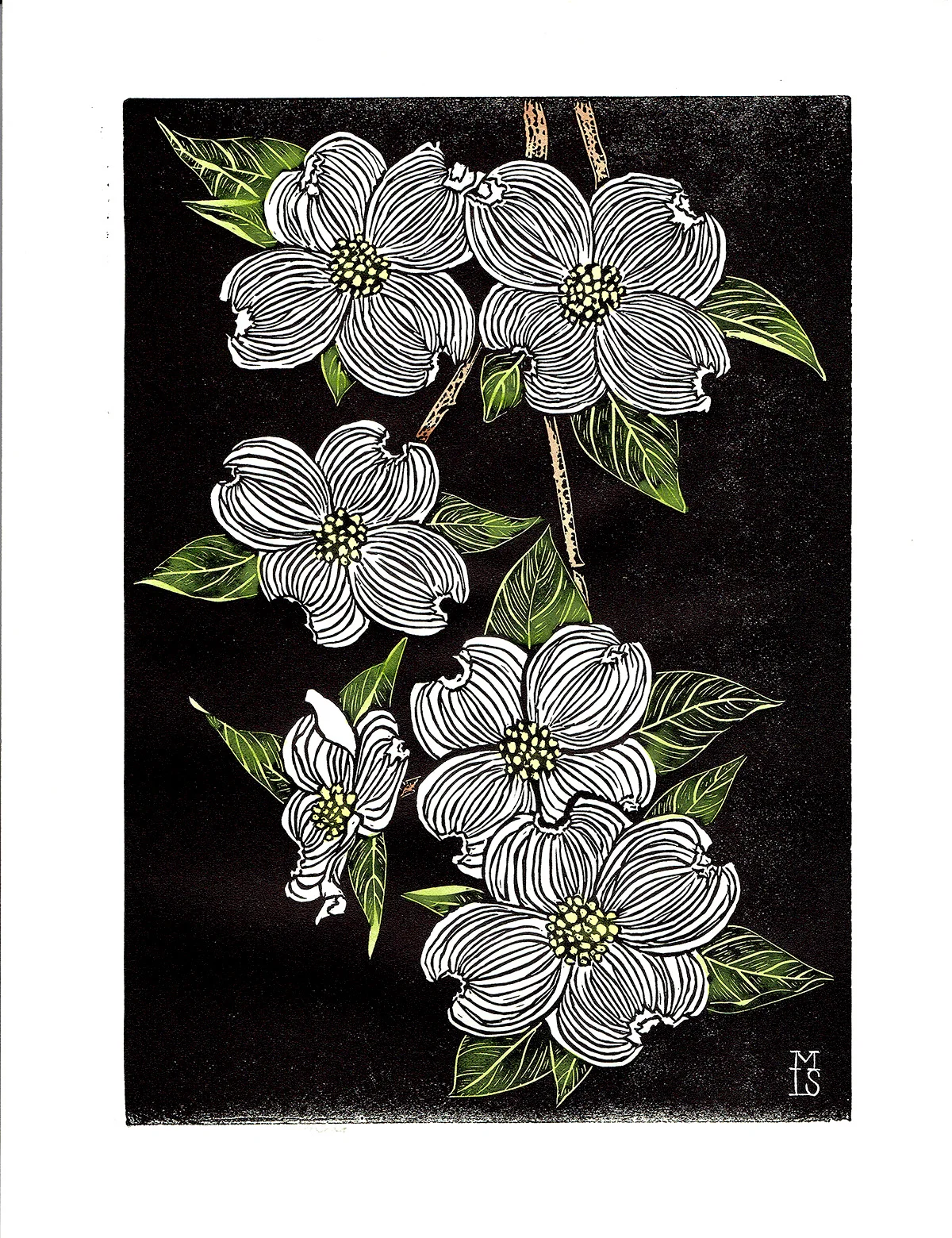 Dogwood_webNoSig.jpg