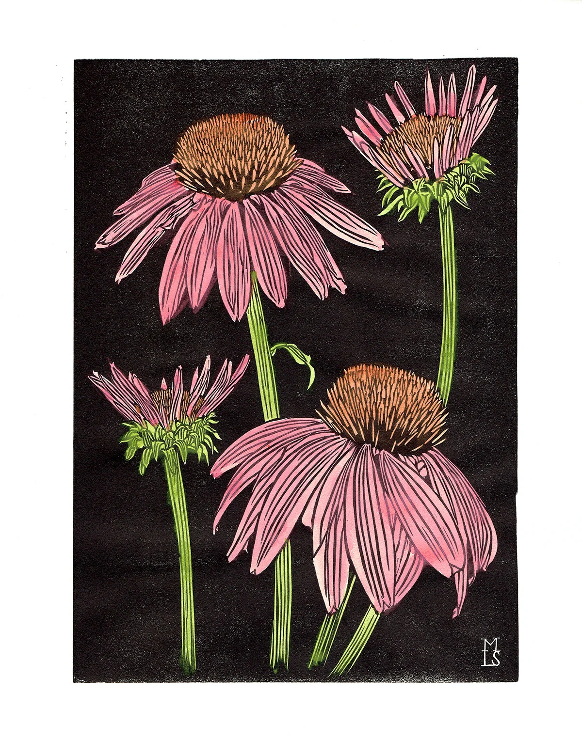 Coneflower_webNoSig.jpg