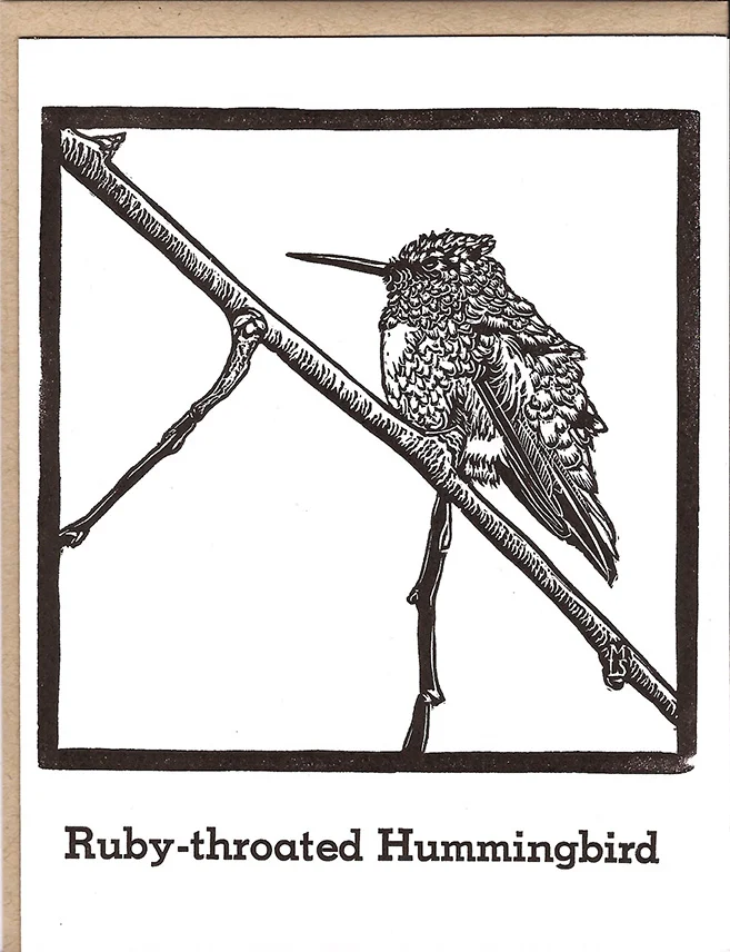 Ruby-throated Hummingbird