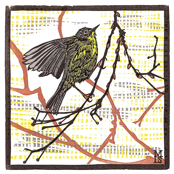 "Nashville Warbler"