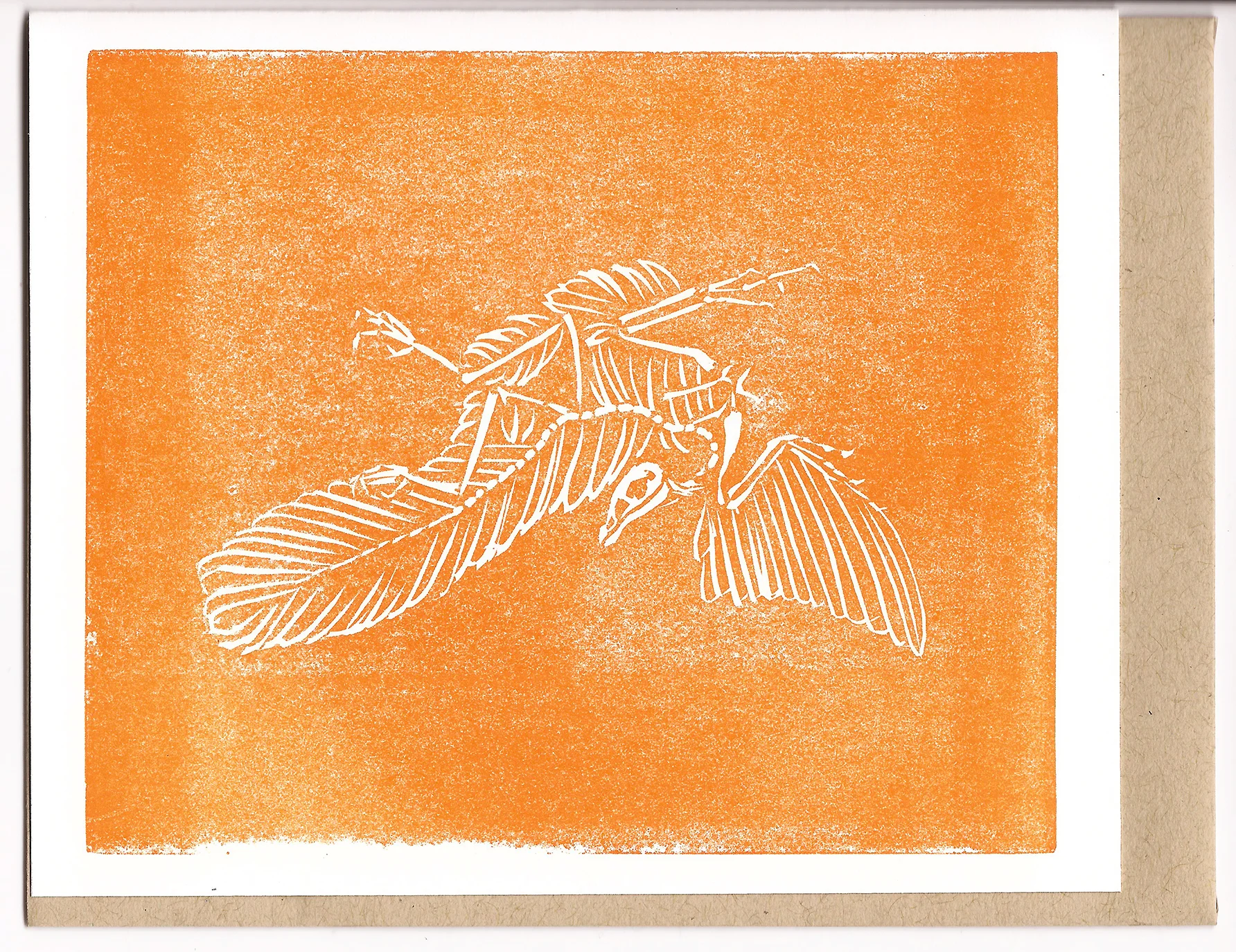 Archaeopteryx_M.jpg