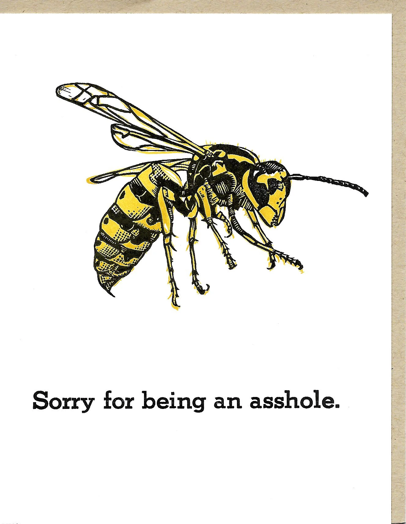 Asshole Wasp.jpg