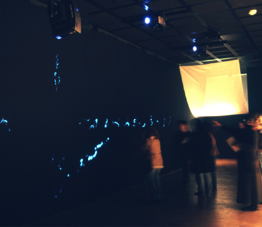 Five projectors present Ecce Homology 's calligraphic forms across a thirty-five foot wide wall. Multiple users can simultaneously interact with the installation through its computer-vision system (in which hand movement is detected and rendered in front of the user for feedback). By moving in the installation space, users are thusly able to draw their own calligraphic characters. A pattern-matching algorithm compares the user-drawn forms with the existing visualizations of genes in a genome database to select a character from that database. The system visualizes a BLAST run with the selected character as its target.