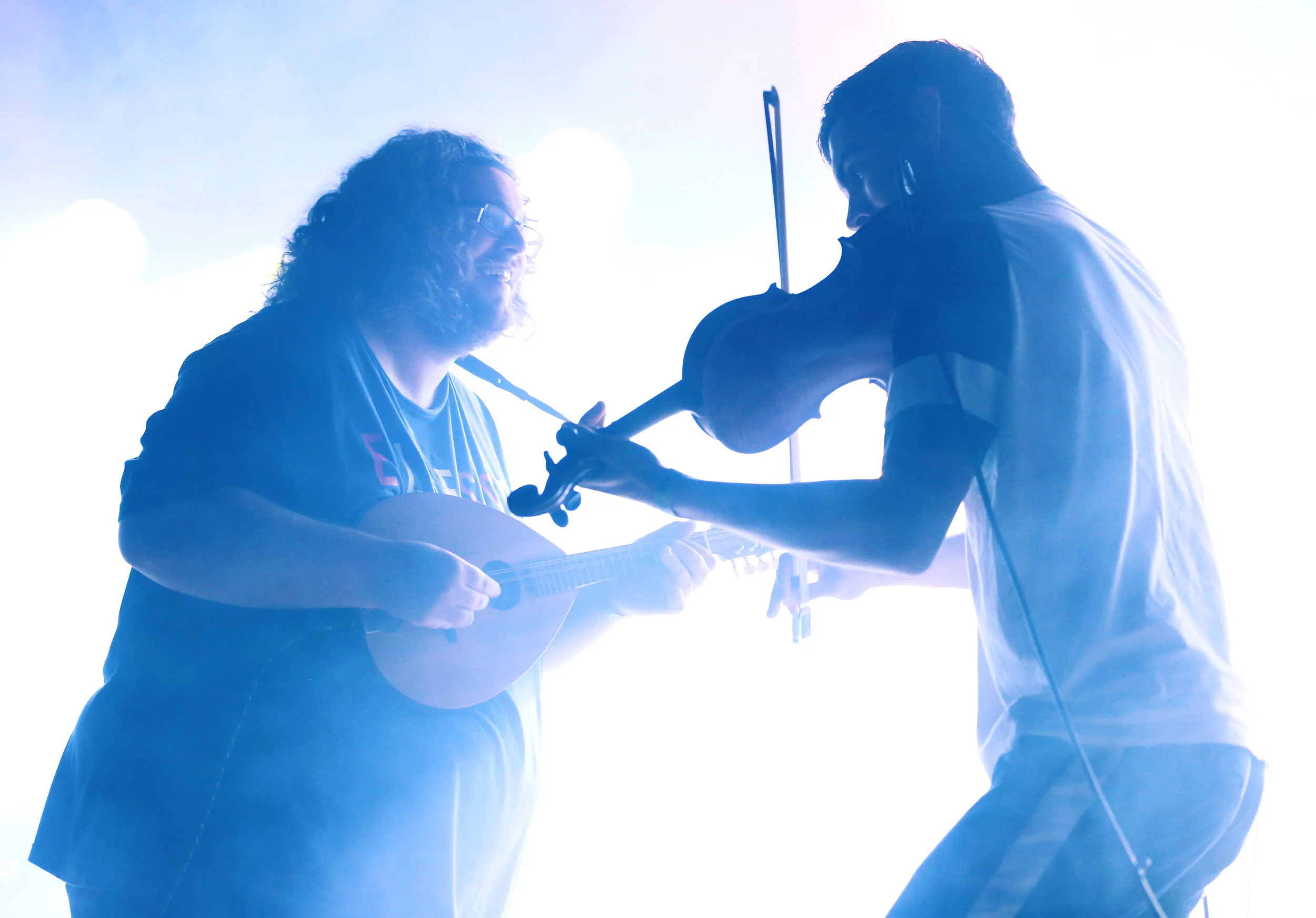 Elephant Sessions