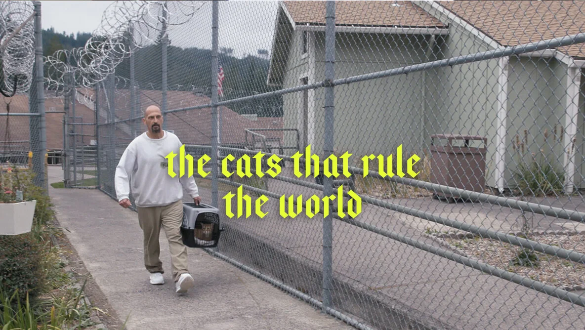 Sheba documentary series