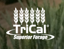 Trical logo.png