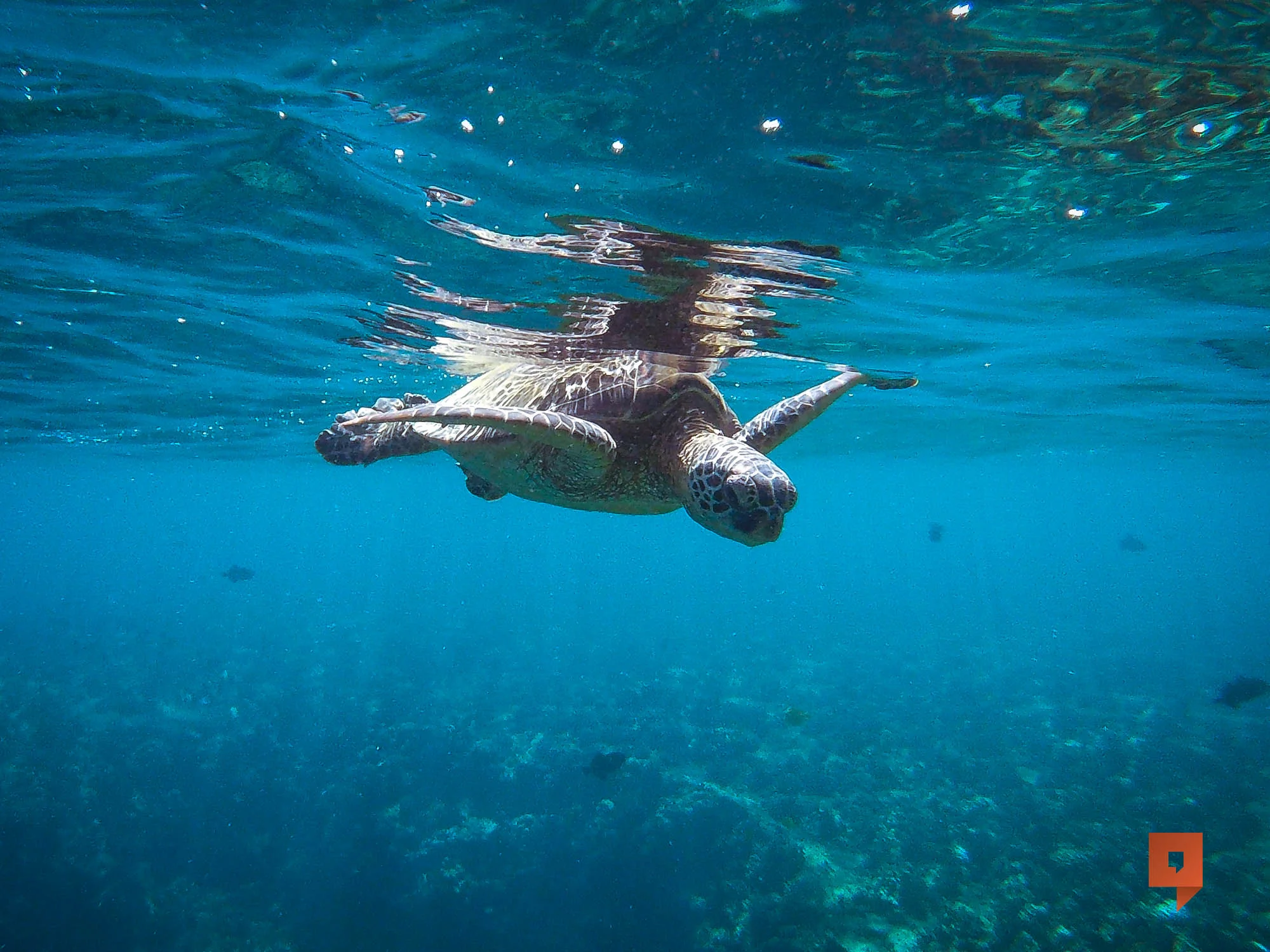 The Islands of Hawaii