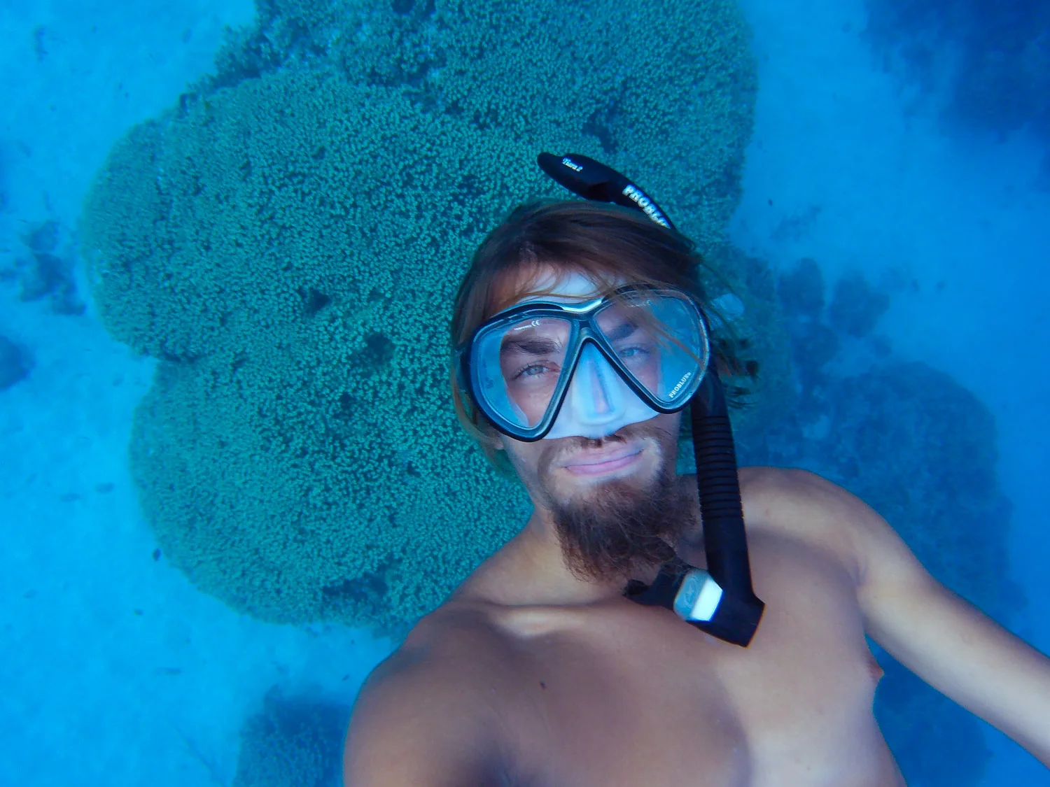  Free diving in Ailuk Atoll in the Marshall Islands. 
