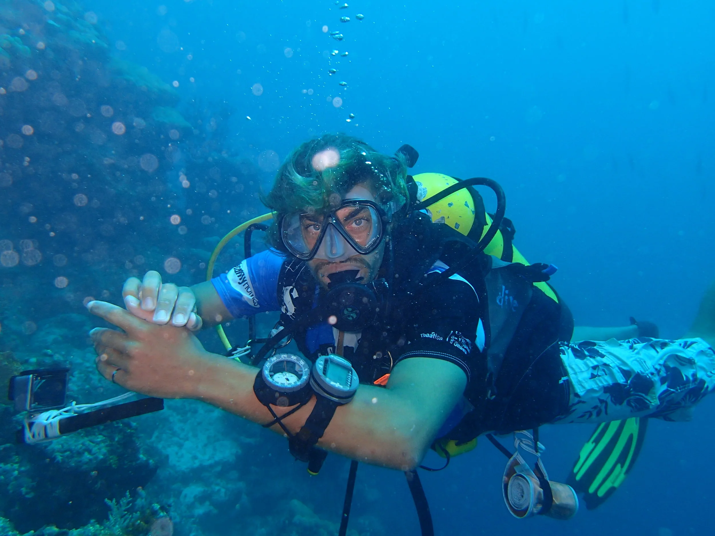  SCUBA diving on the island of Pohnpei, Micronesia. 