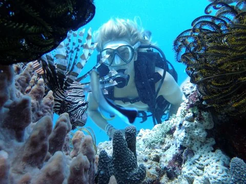  Diving in Rabaul, Papua New Guinea, in December 2016 