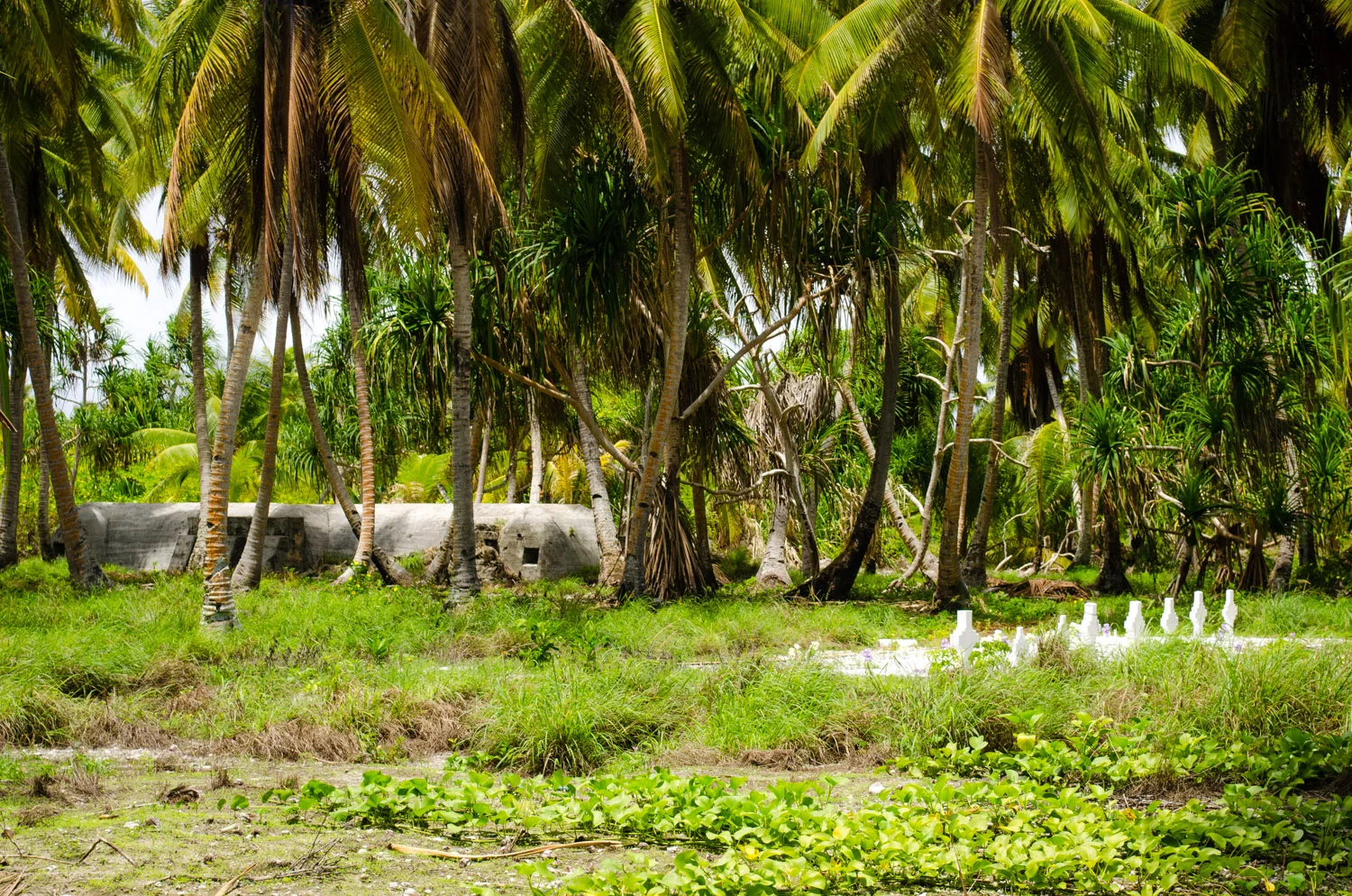 One of the few intact bunkers protecting the inhabitants of Taroa Island today