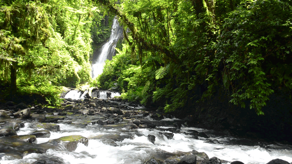 The Six Waterfalls Hike