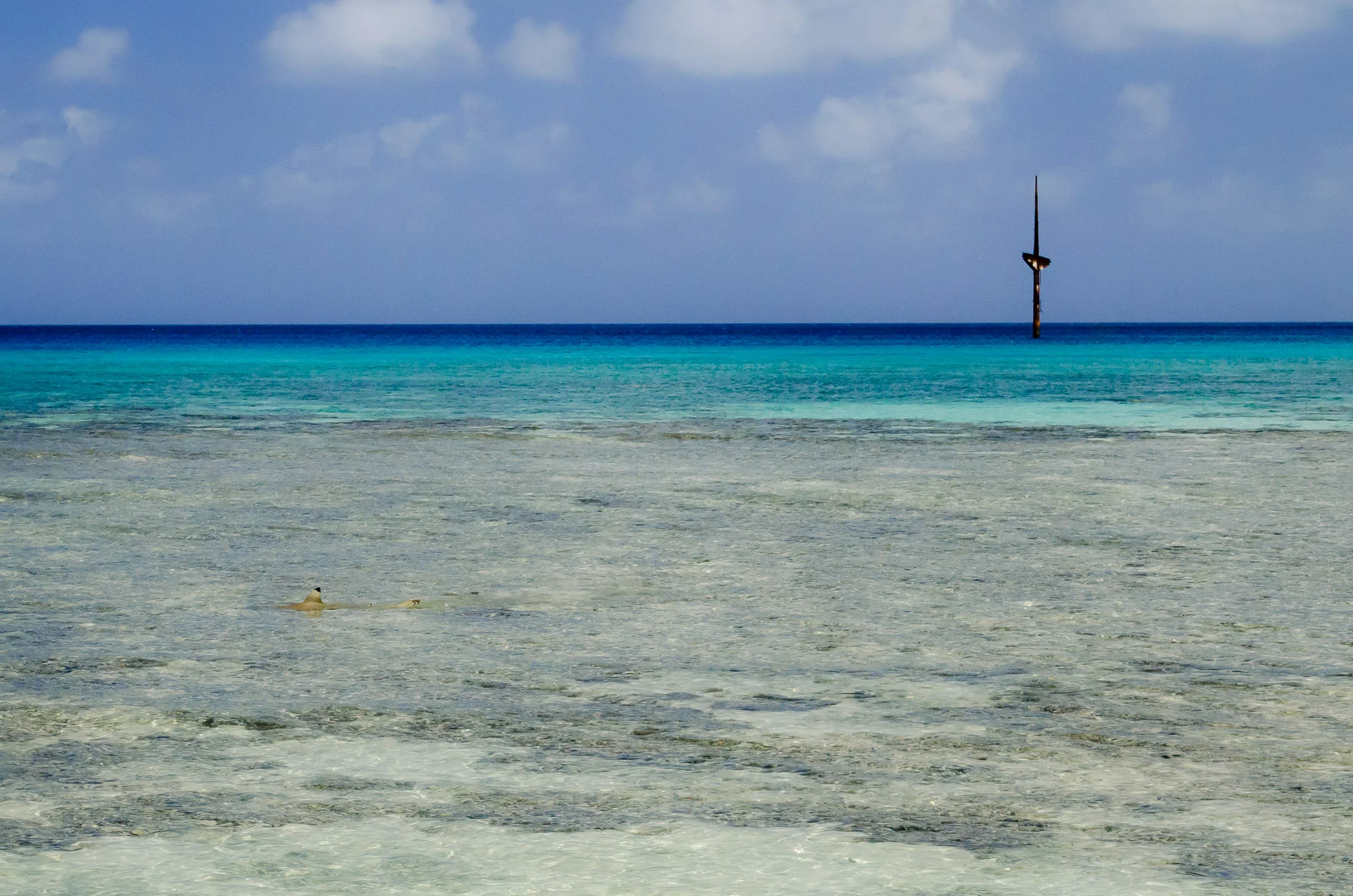 A service mast of the Terushima Maru marks where the shipwreck lies in the lagoon off of Taroa Island while a black-tipped reef shark explores the shallows