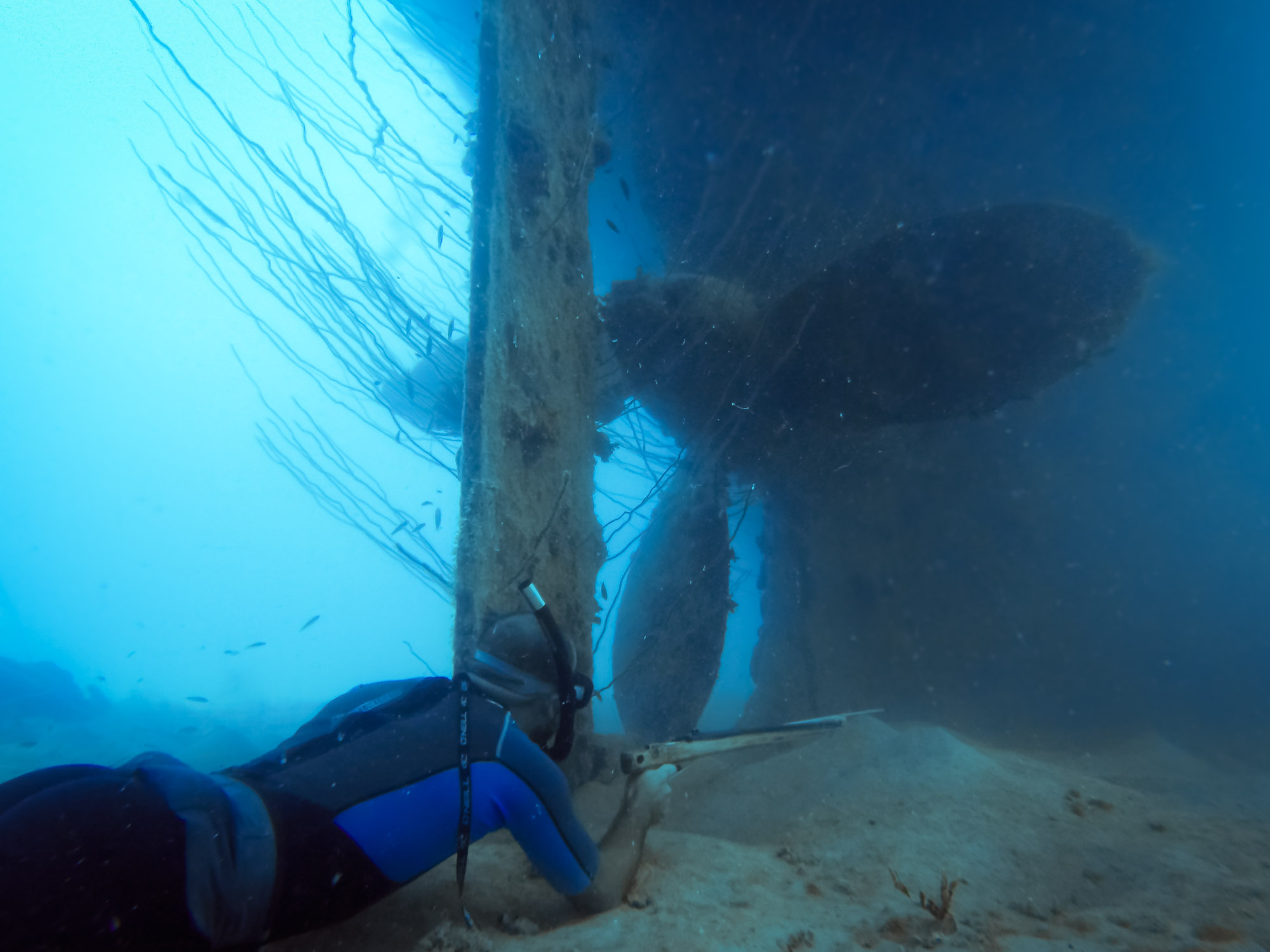  Spearfishing alongside the rudder and massive propeller of the Terushima Maru 