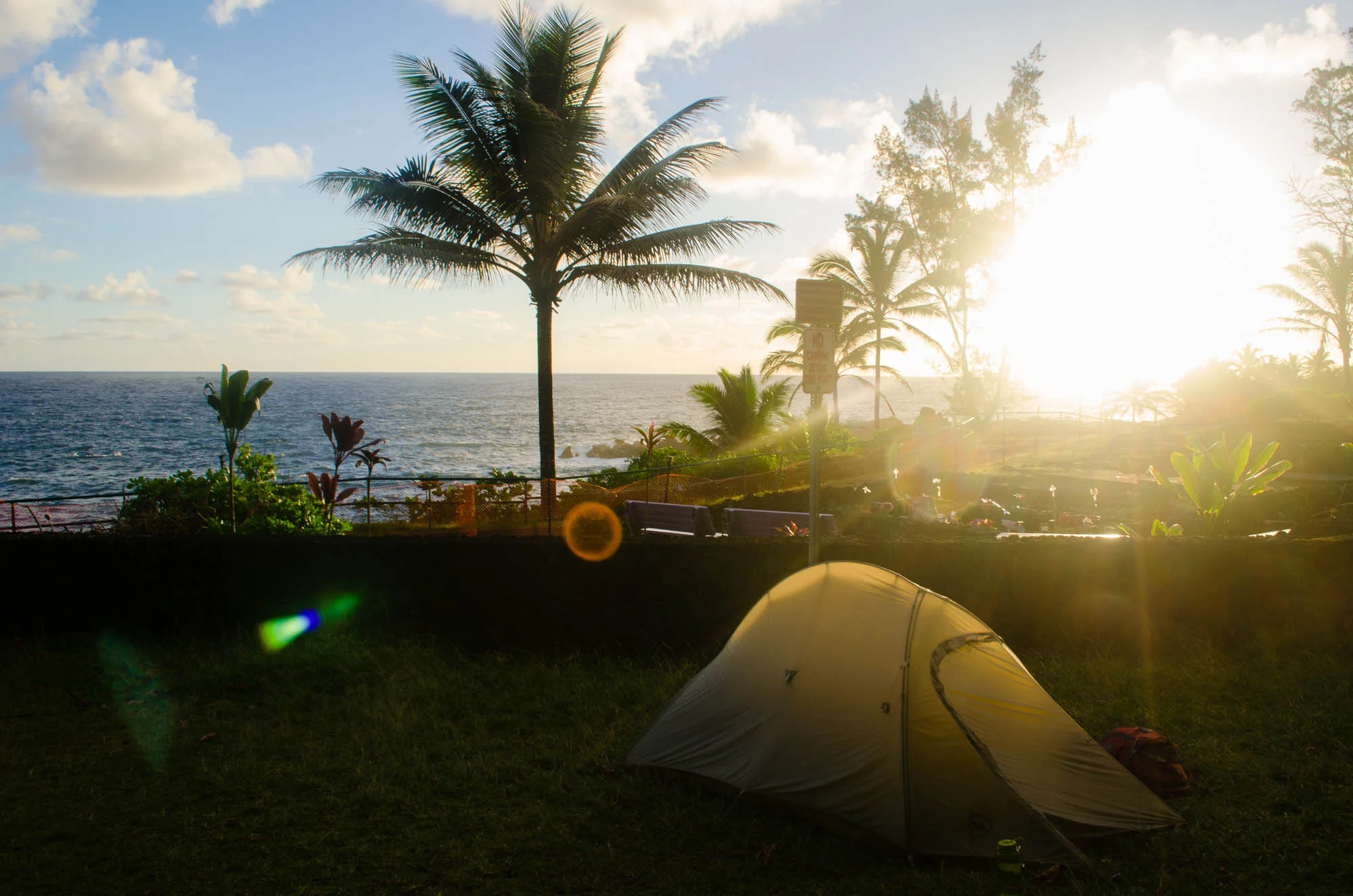 2016.02-9891-Maui.LQ.jpg