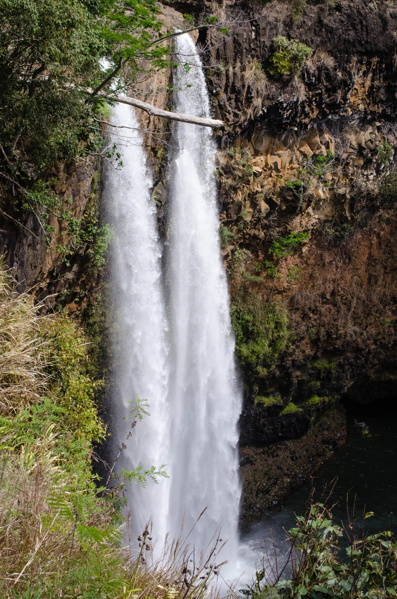 2016.03-1902-Kauai.LQ.jpg