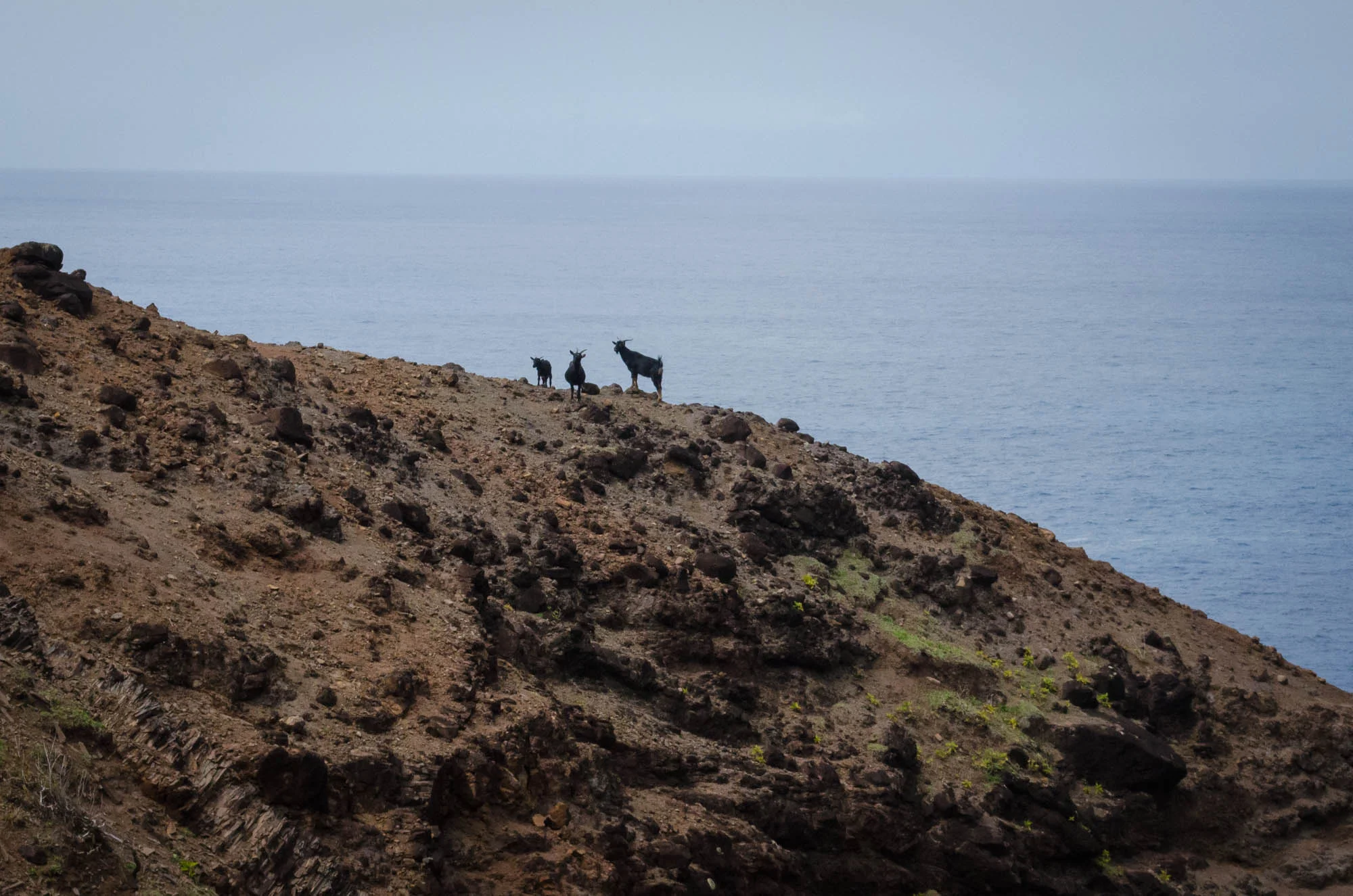 2016.03-2316-Kauai.LQ.jpg