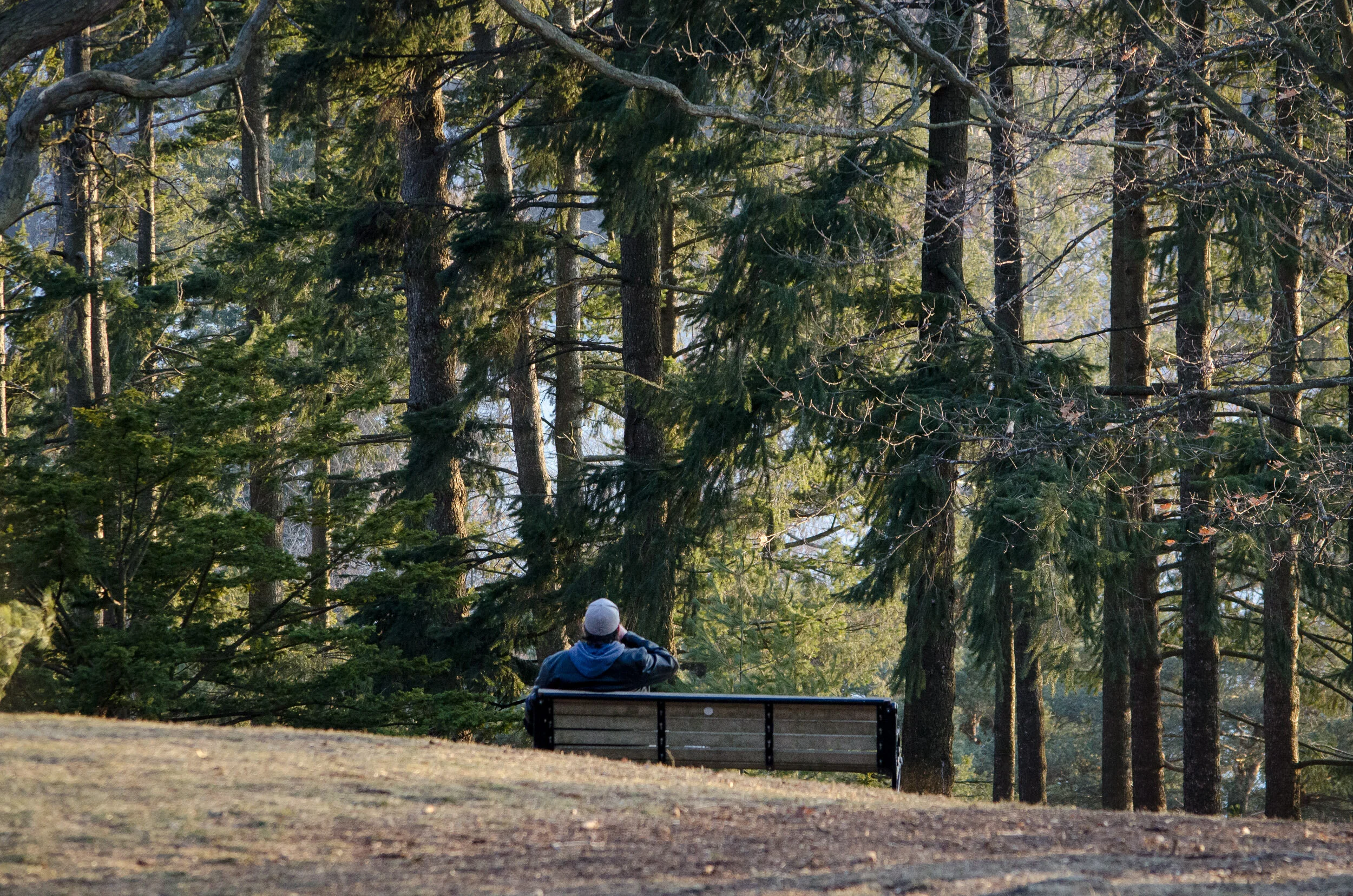 Exploring Home: A Walk with Friends