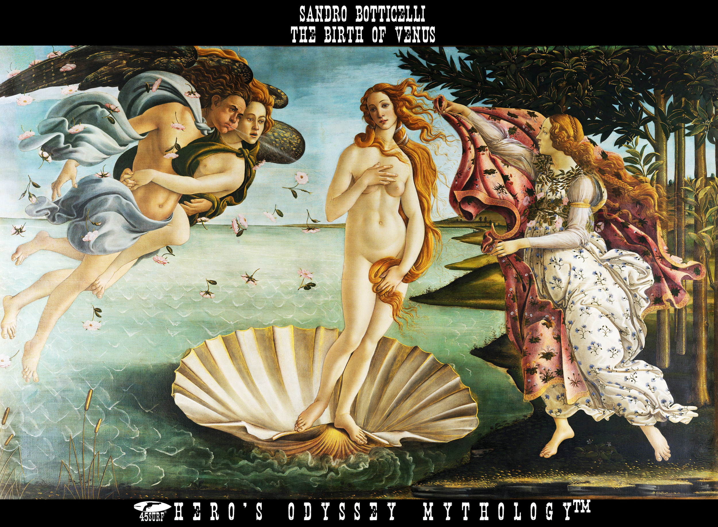 Botticelli_Venus shirt.jpg