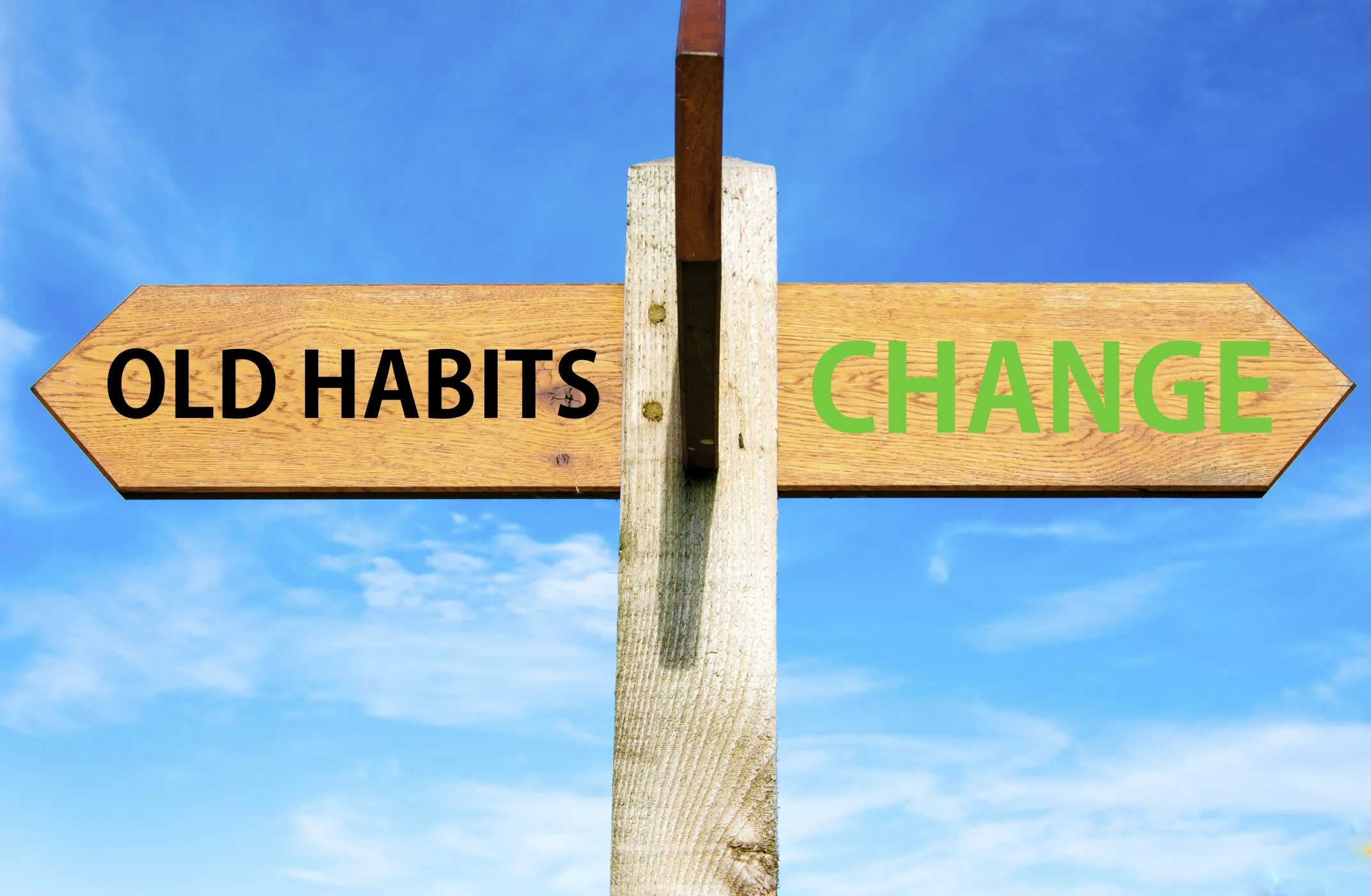 My friend is a real bitch.