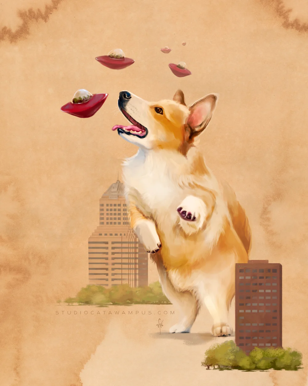 savior-corgi-05.jpg