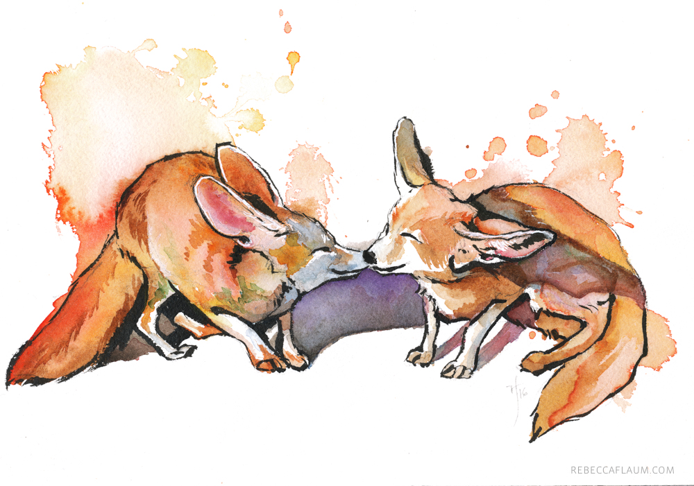 rflaum_fennecs.jpg
