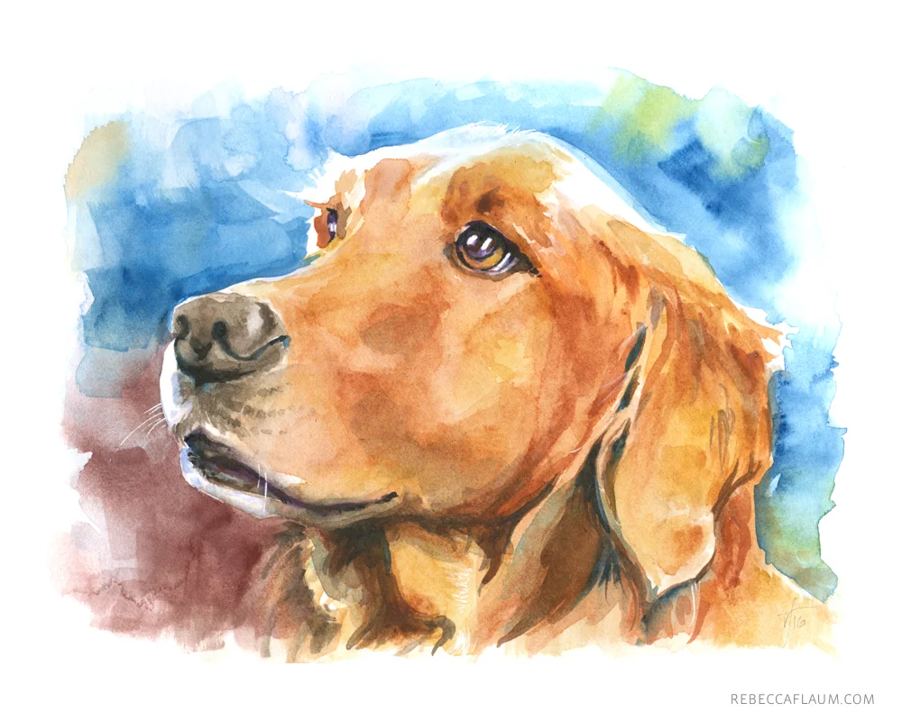 rflaum_Brody_0001.jpg