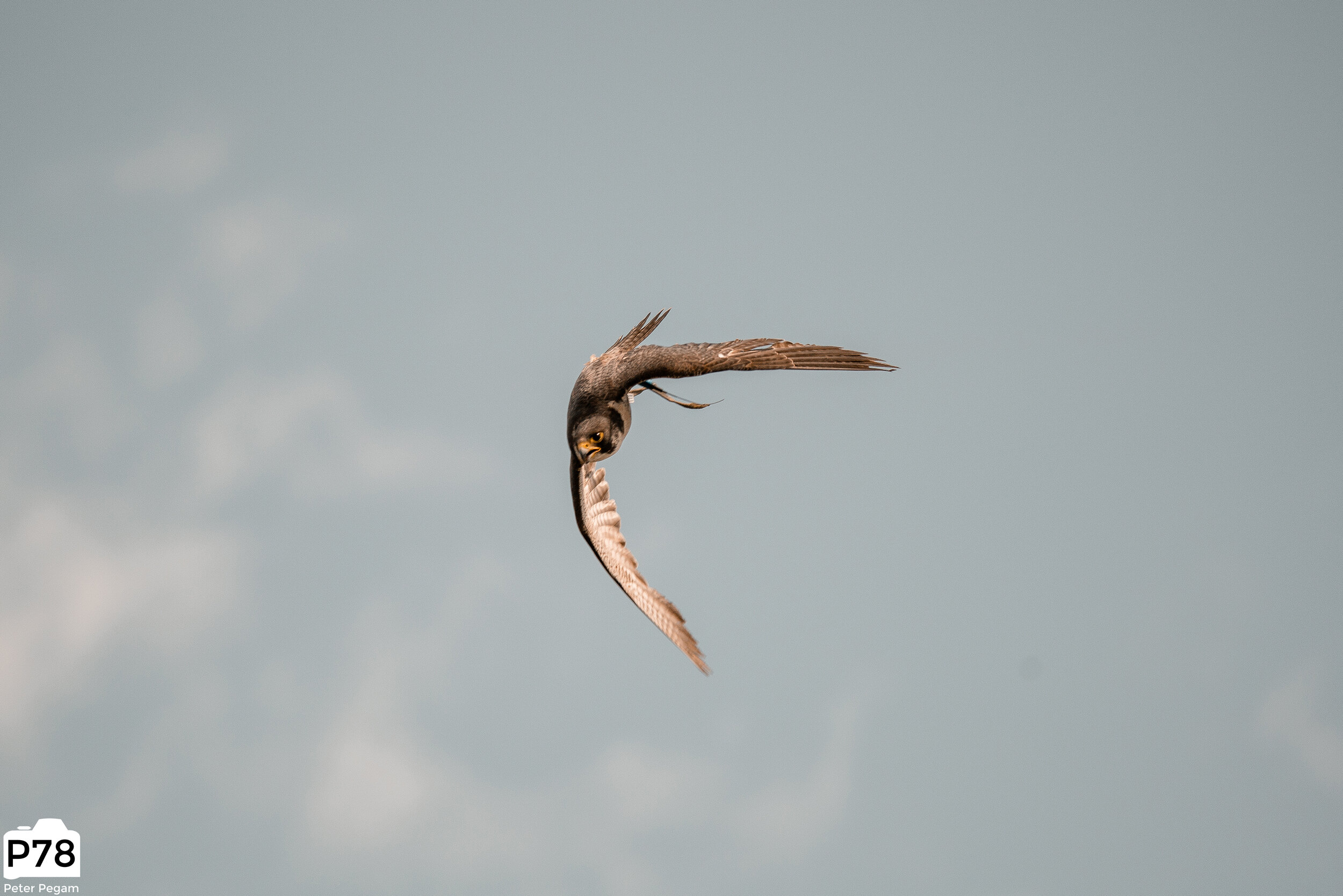 print_DSC02554.jpg