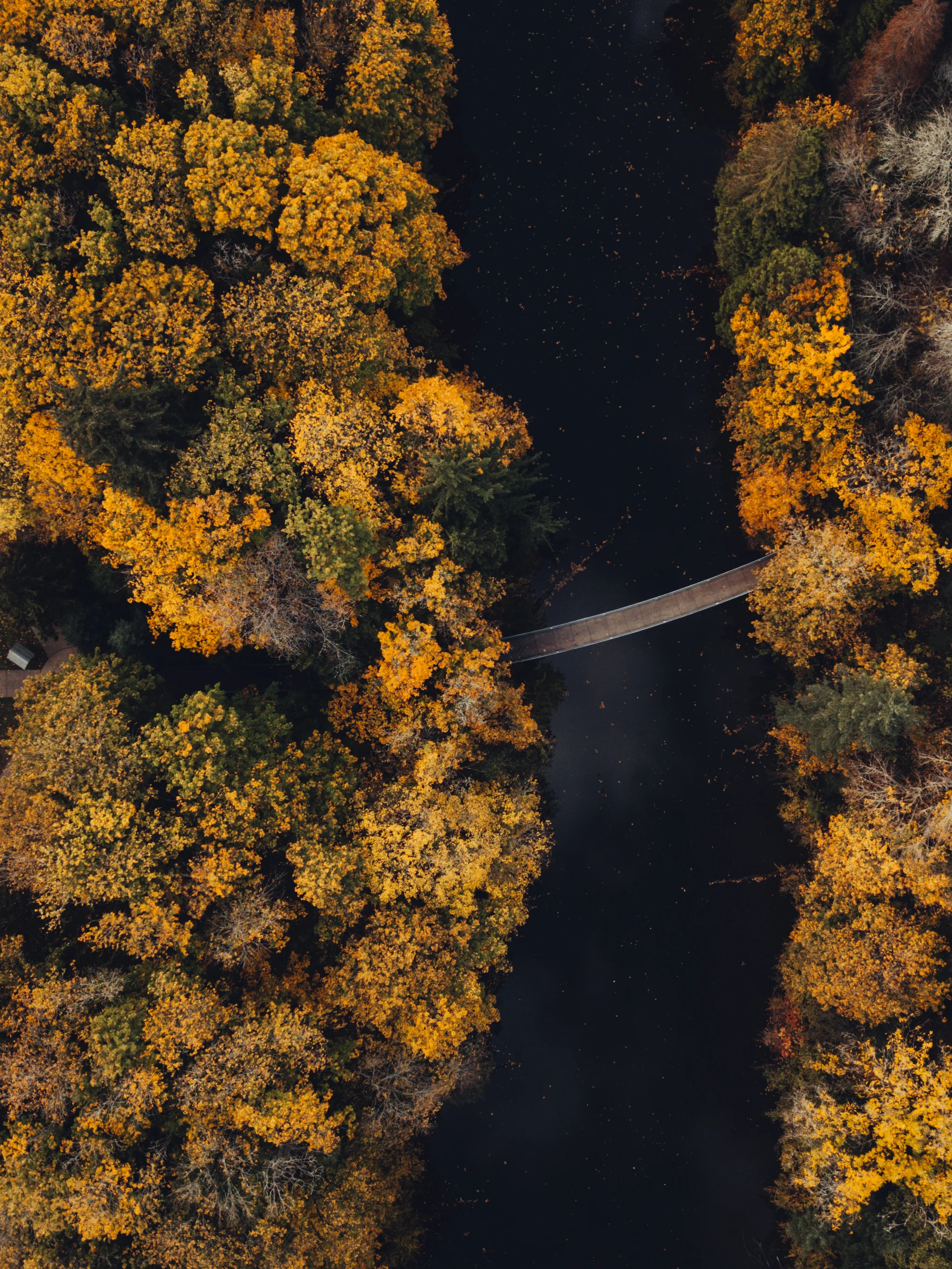 DJI_0160.jpg