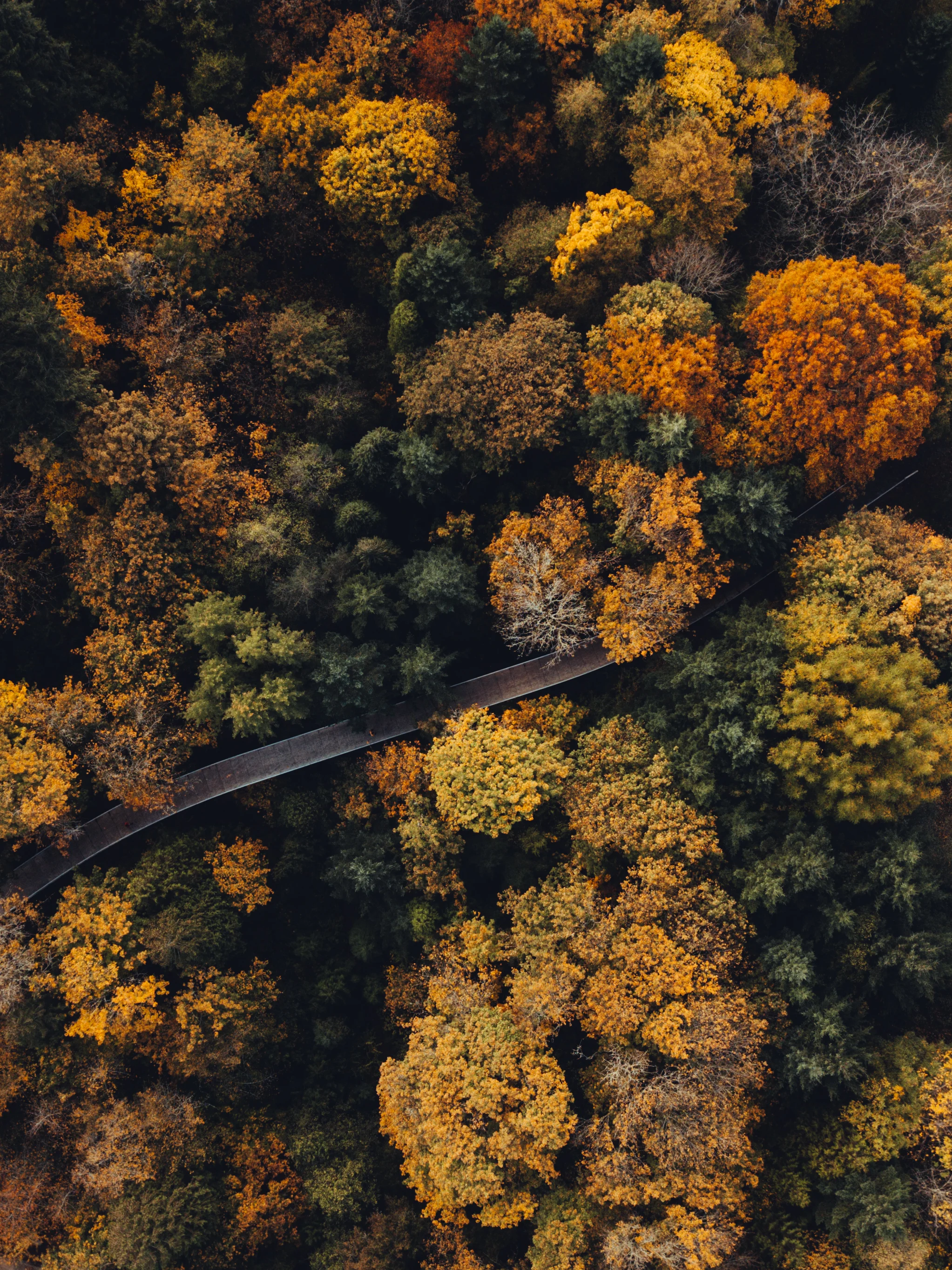 DJI_0159.jpg