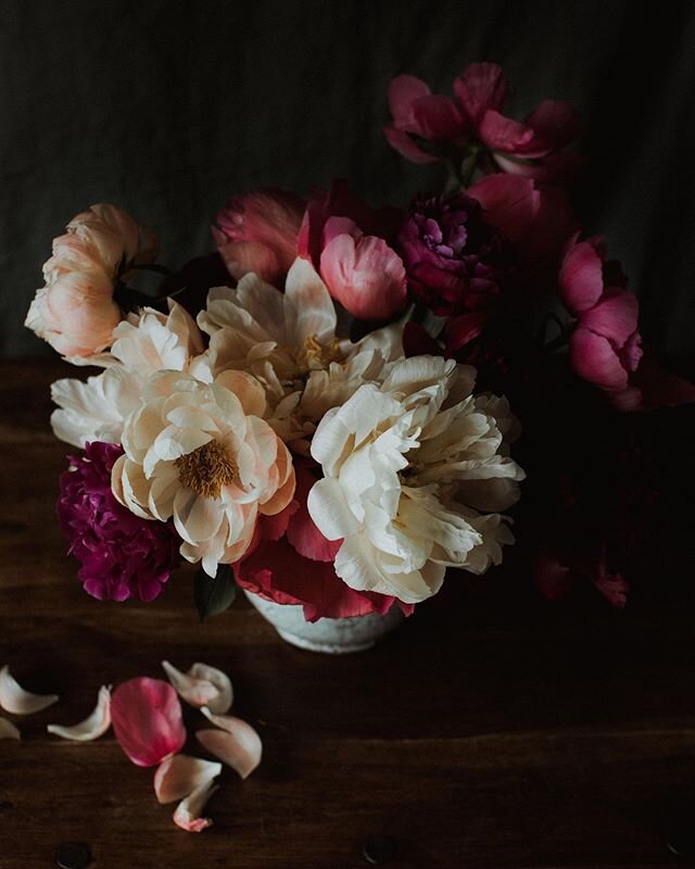 Peony season will soon be over. I will be removing small, medium and large Peony bouquets from our web shop at the end of this week, and replacing them with new seasonal en Masse bouquets.✨Photo @paulaohara X