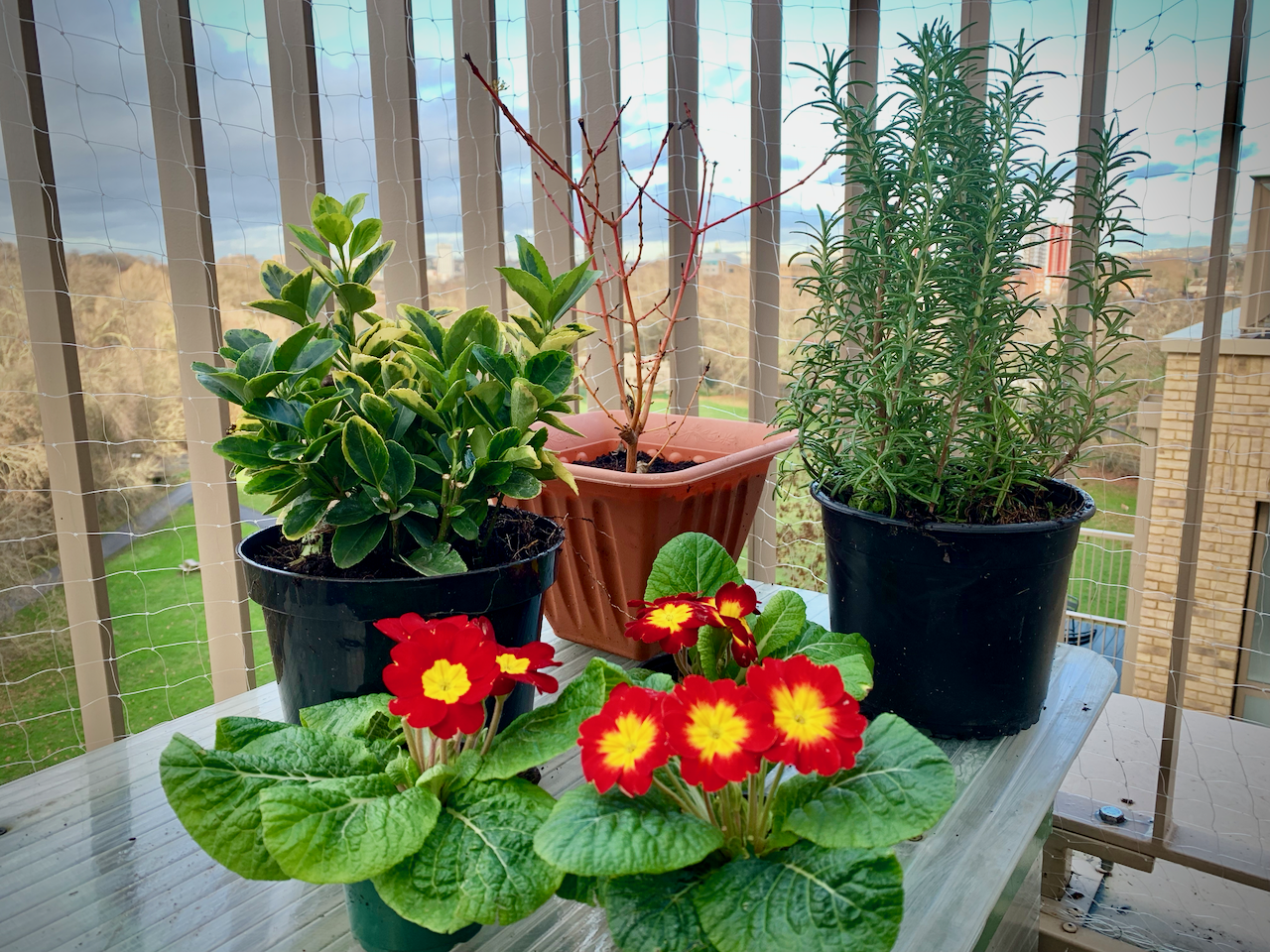 blogwintercontainer - 1.png