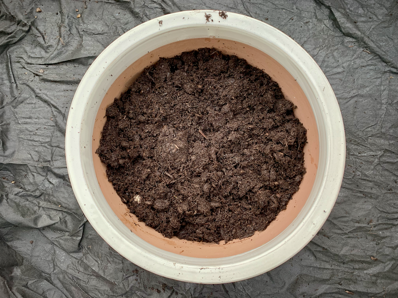 blogwintercontainer - 3.png