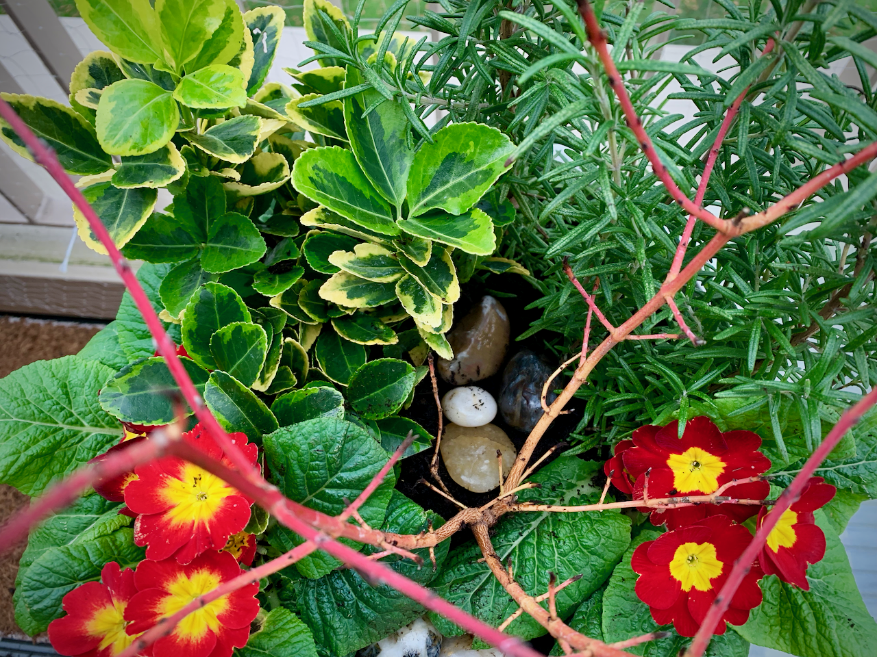 blogwintercontainer - 1 (1).png