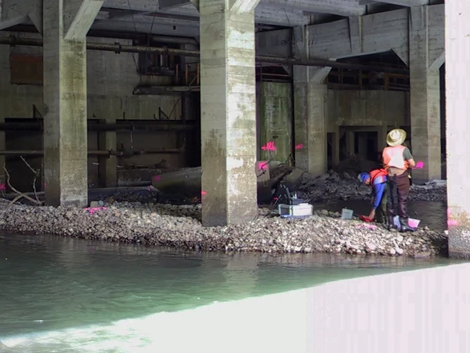 Project_Dam_Dam_Pringle_Marion.jpg