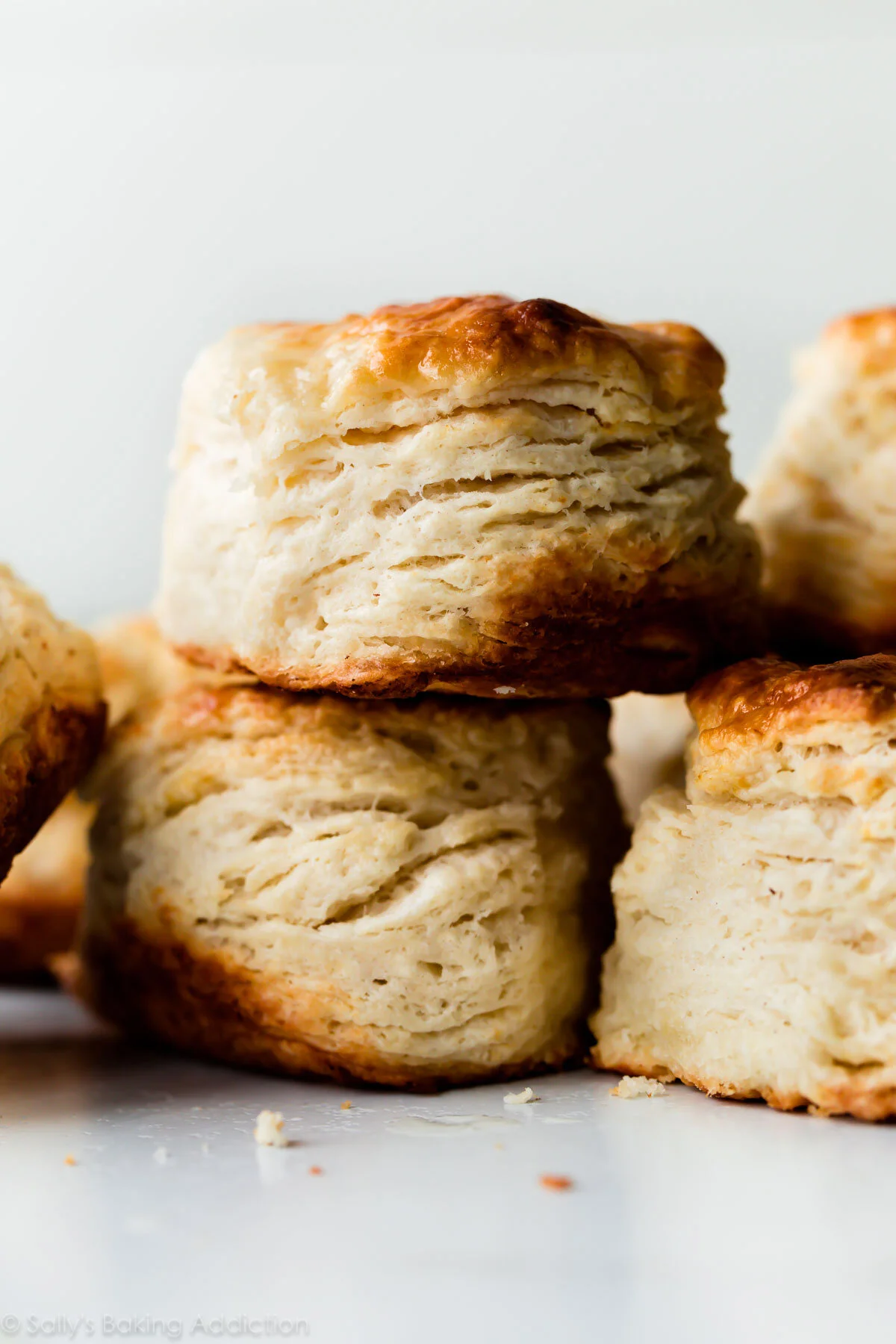 homemade-biscuits-2.jpg