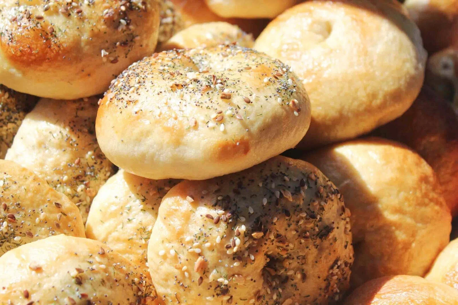 wild+fern+bagels.jpg