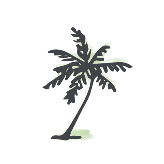 Palm Tree