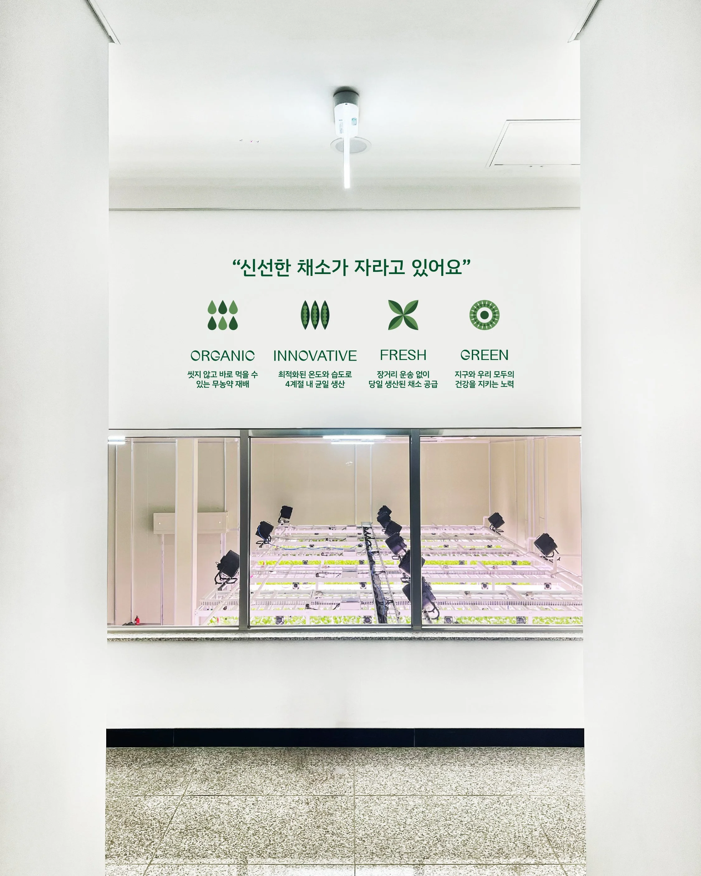 베지스케이프_인스타_업로드_20240917-16.jpg