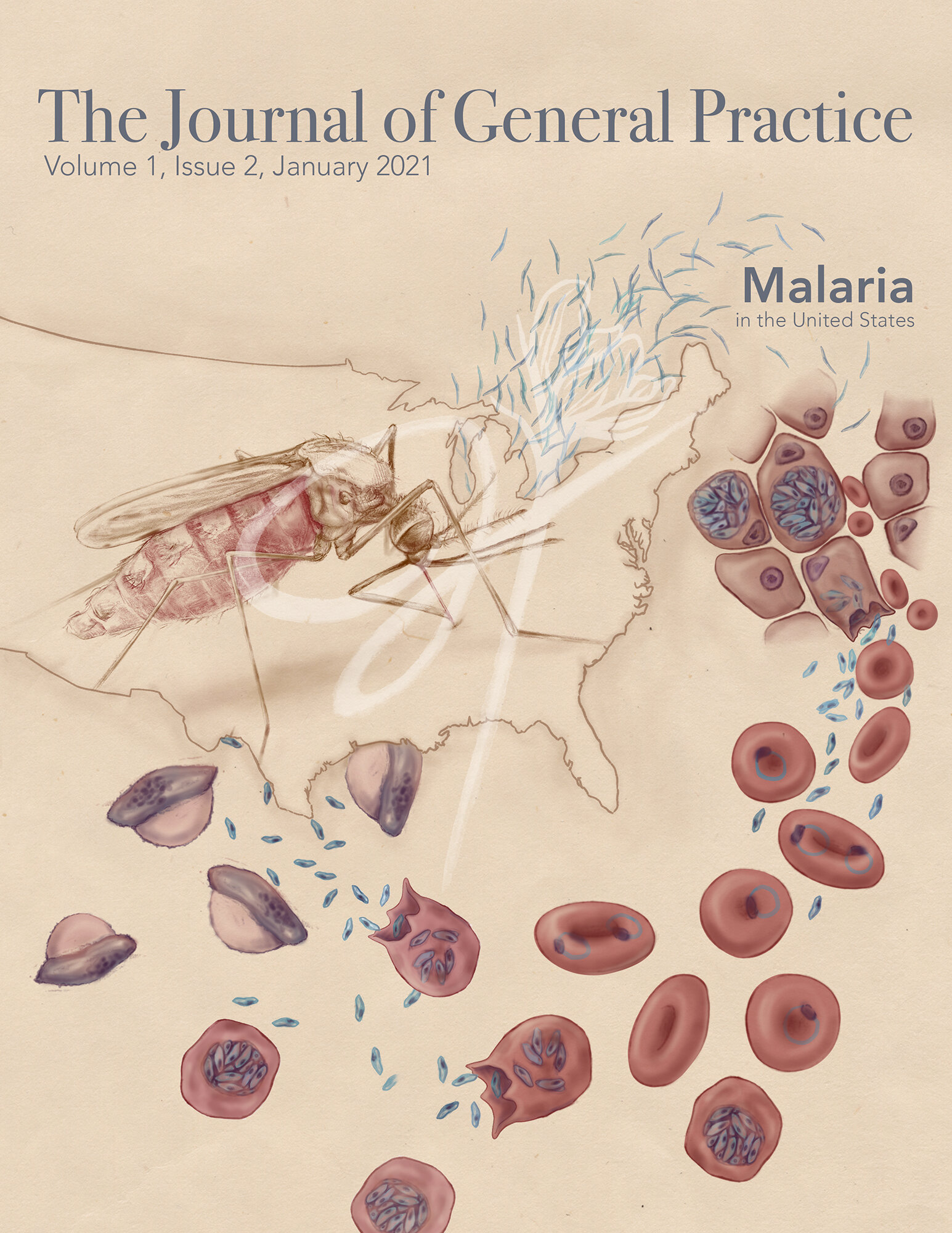   Medium:  Graphite, Photoshop   Objective:  To conceptually illustrate for editorial use the presence of the Anopheles mosquito and malaria in the United States. 